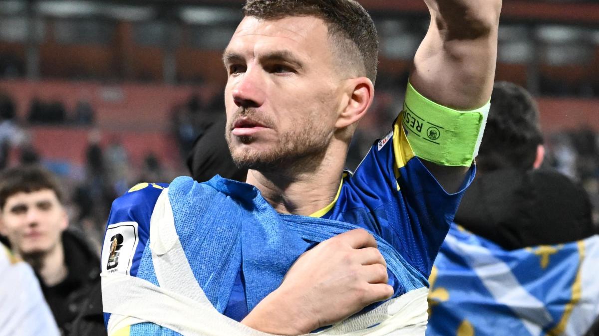 Dzeko finisce ko contro l'Italia, l'allenatore dello Schalke: "Duro colpo per noi"