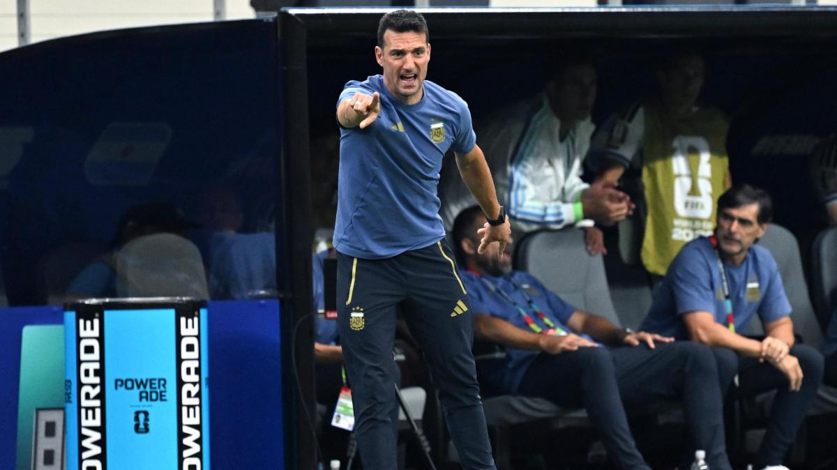 Scaloni: "Ho finito le parole per Messi. Lautaro più Alvarez? Qualcuno deve difendere"