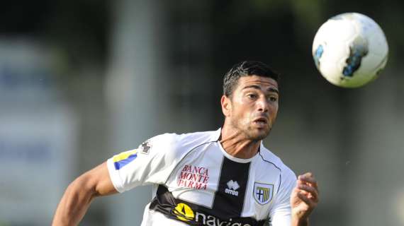 Il gong del mercato... del Parma: Zirkzee ieri, Pellè oggi. Ma tanti affari sfumati