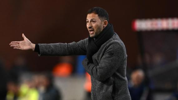 Belgio, Tedesco: "Concesso il gol troppo facilmente. Ma un peccato per com'è finita..."