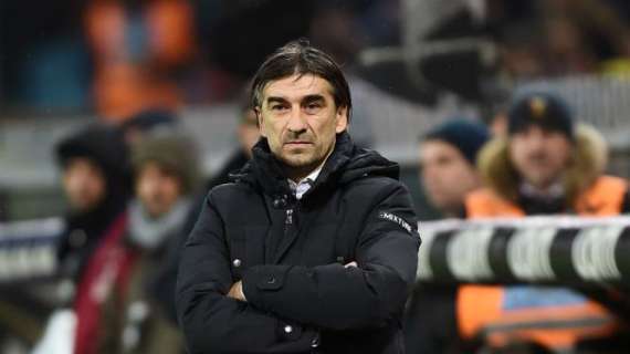 Pescara, casting allenatore: Juric e Stellone caldi. Zauri outsider