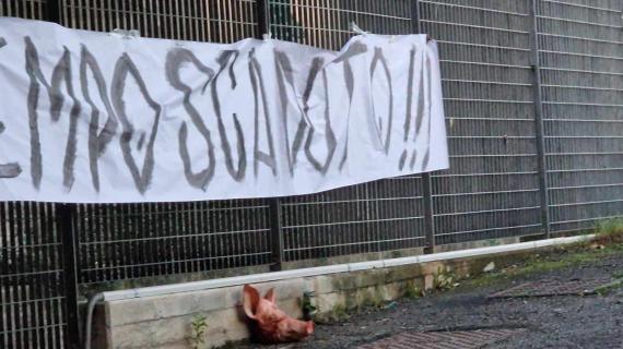 Spezia, la contestazione non si placa: testa di maiale in sede. Gazzoli: "Abbassare i toni"