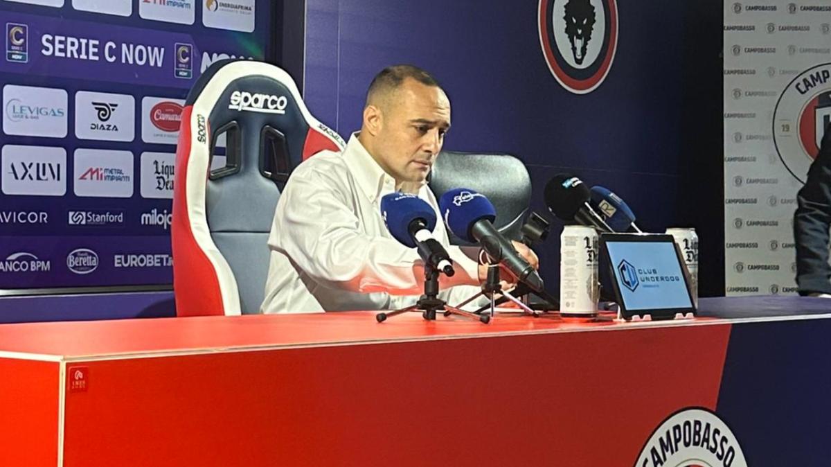 Nicola D'Elisiis