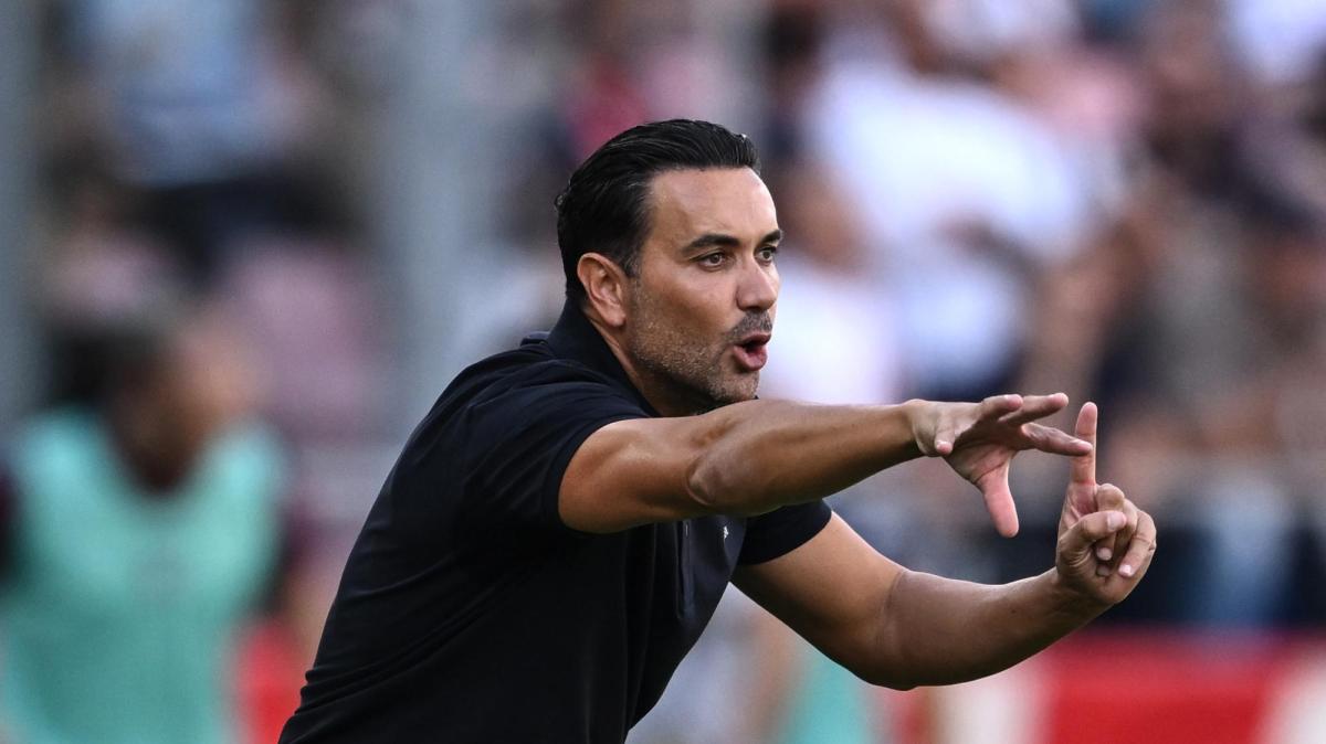 Bologna, Palladino: "Skorupski non è in discussione. Ripartiremo dalla prestazione"