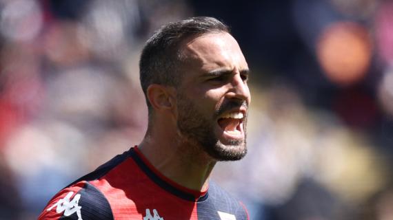 Chi si rivede: da svincolato al Montpellier, nuova avventura per l'ex Napoli Maksimovic