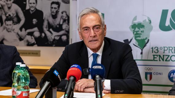 Gravina-Lotito, Piccari: “Il presidente FIGC mi sembra in difficoltà”